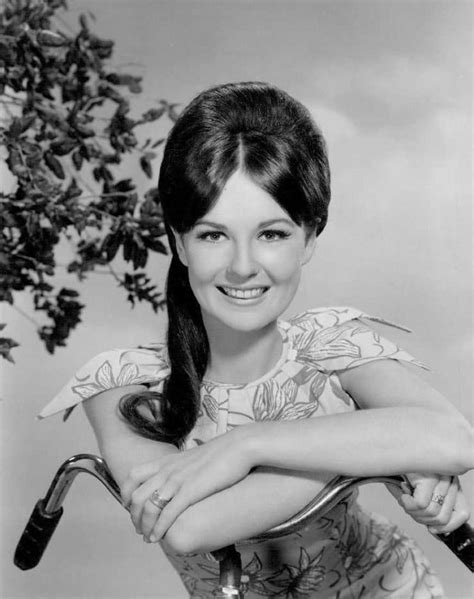 Shelley fabares nude - Shelley Fabares. Actress: The Donna Reed Show. Vibrant, increasingly lovely teen fave Shelley Fabares withstood the test of time by transitioning successfully into adult parts unlike many of her 1960s "teen queen" peers who faded quickly into the memory books.